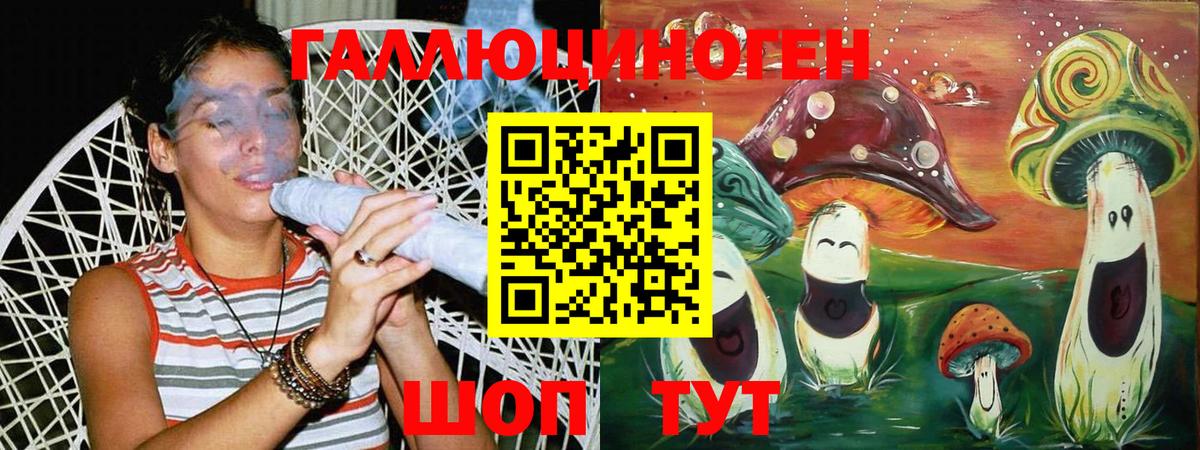 Галлюциногенные грибы Psilocybine cubensis  цена   Галлюциногенные грибы прущие грибы  Холмск  Вход с VPN 