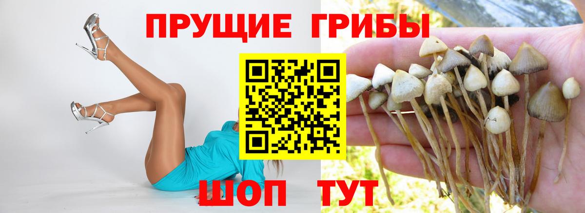 Псилоцибиновые грибы мицелий Холмск